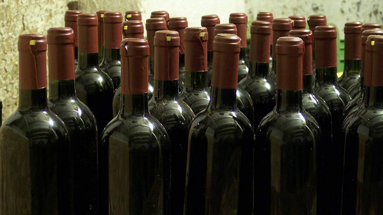 Bottiglie di vino in cantina