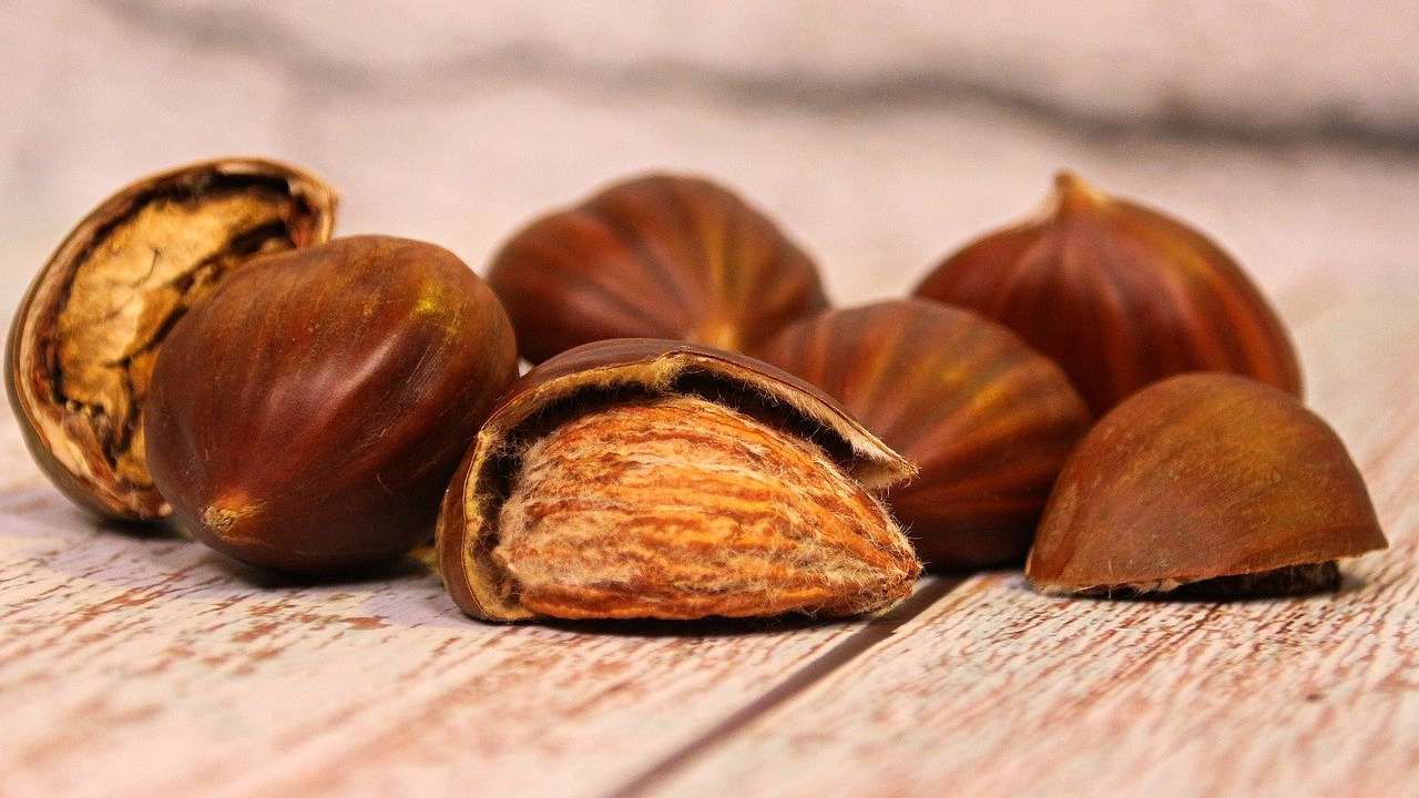 Castagne, simbolo dell'autunno