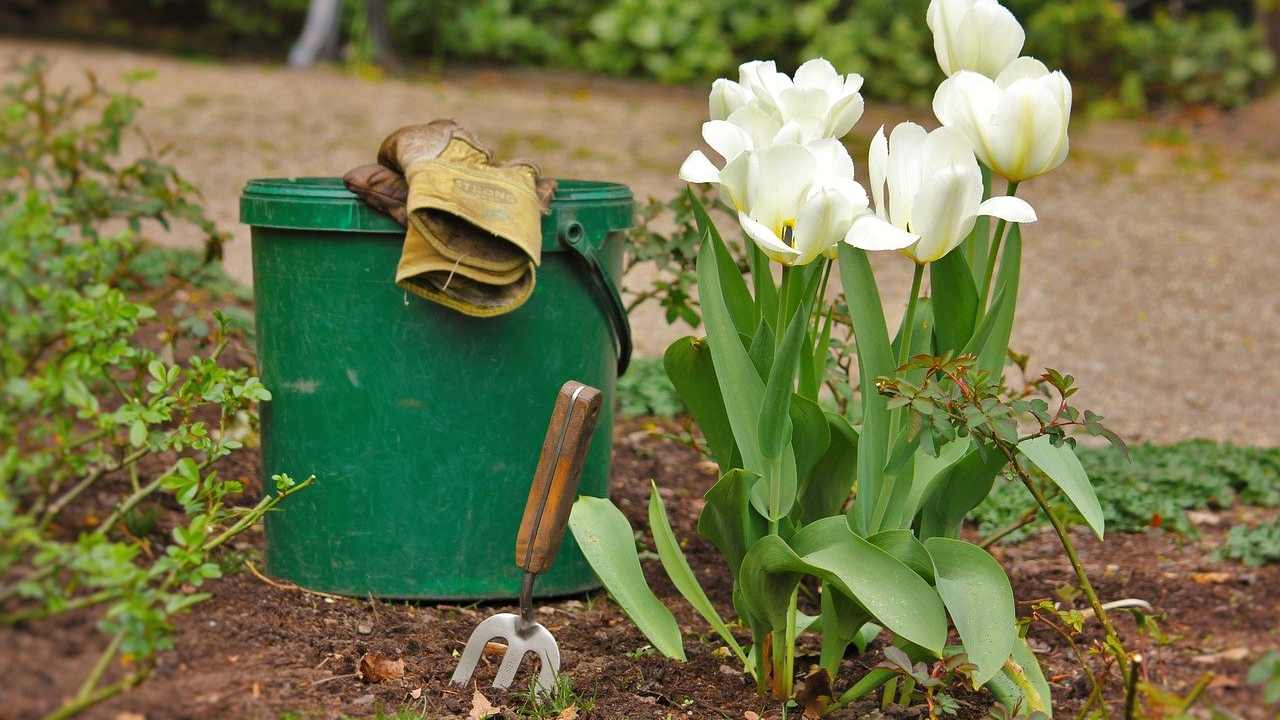 Secchio da giardinaggio