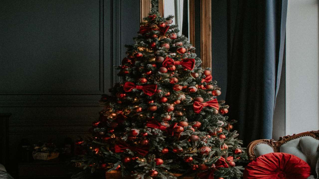 albero di natale