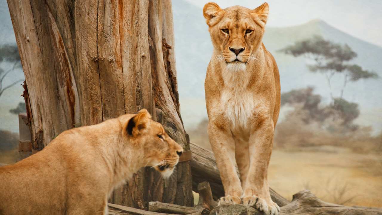 Animali in pericolo di estinzione