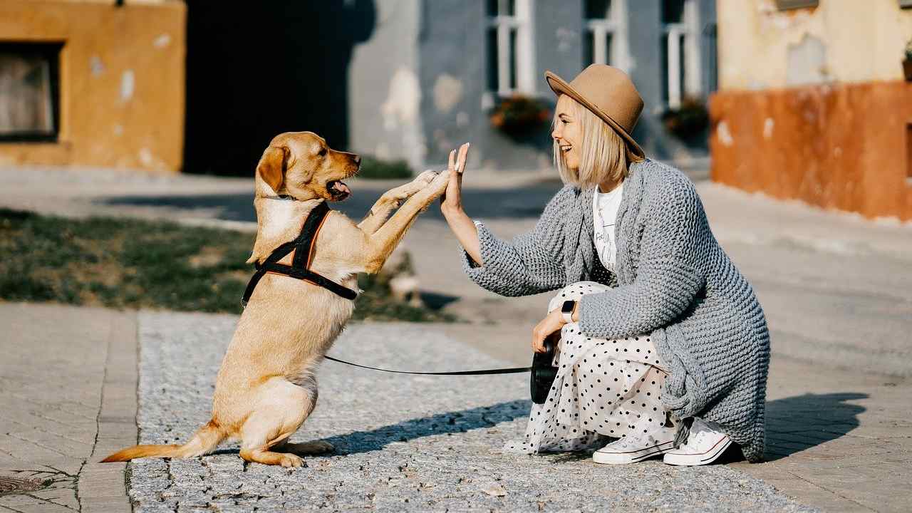 Diritti degli animali, la difesa spetta a noi