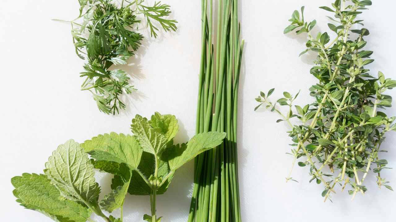 Erbe aromatiche per rimettersi in forma