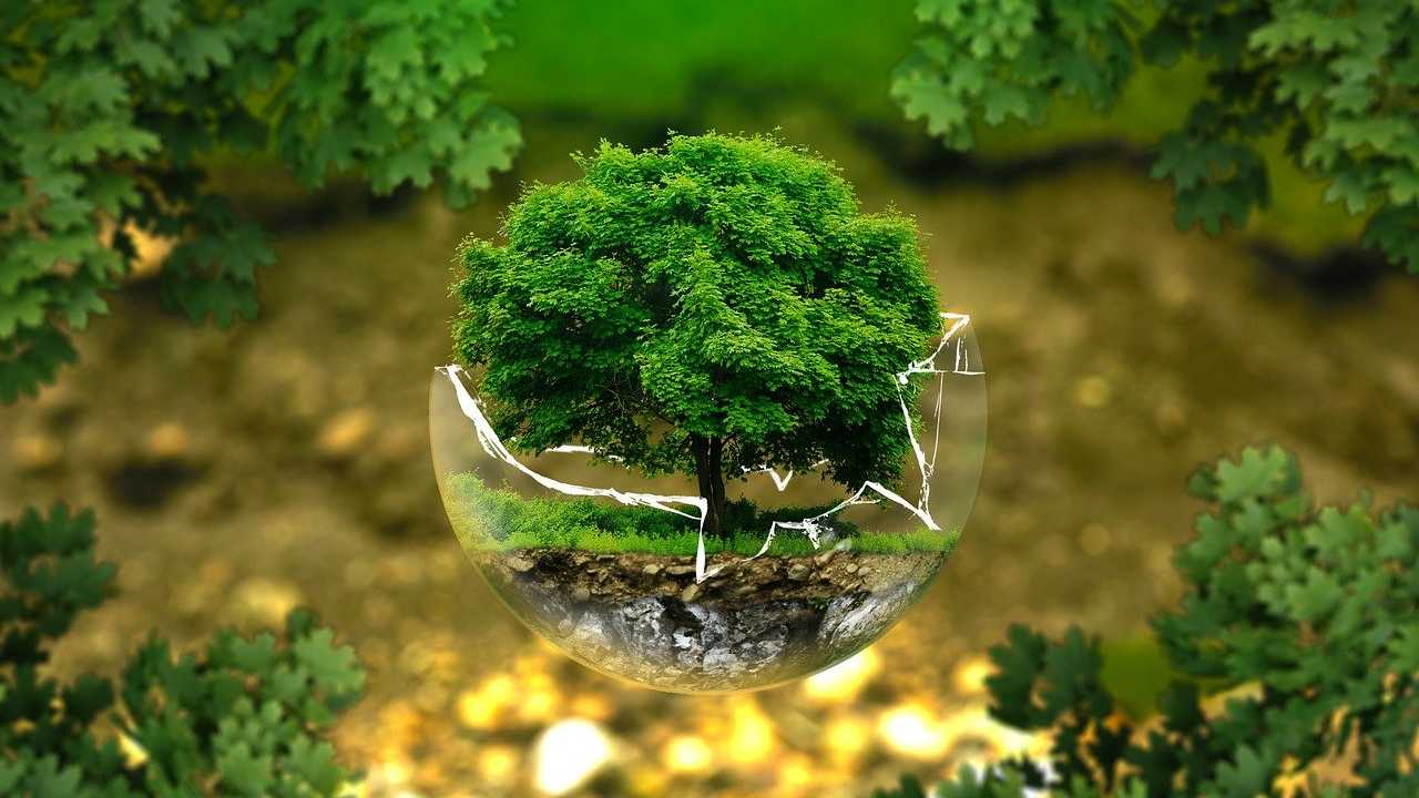 Proteggere l'ambiente con la transizione ecologica