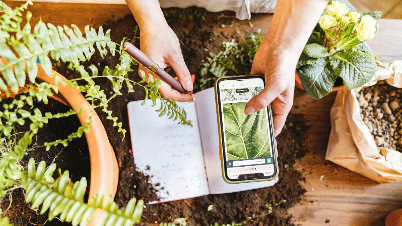 Tecnologia in aiuto dell'ambiente