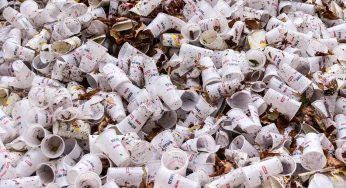 FAO lancia l’allarme: troppa plastica nel suolo, cibi a rischio