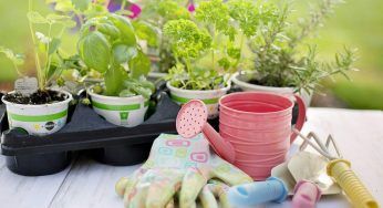 Il giardinaggio è un nostro alleato, ci aiuta a ridurre lo stress e a vivere meglio
