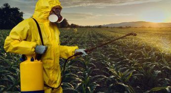 Alimentazione e pesticidi: impariamo a conoscere ciò che mangiamo