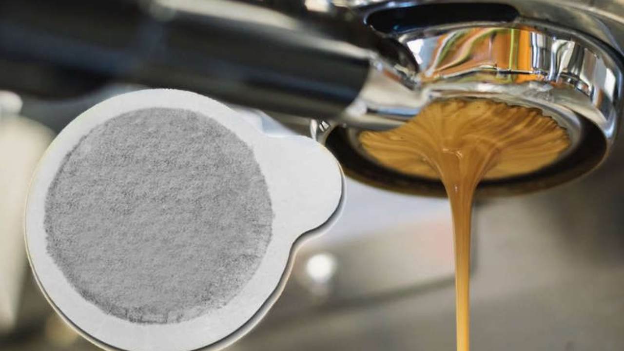 Cialde di caffè compostabili