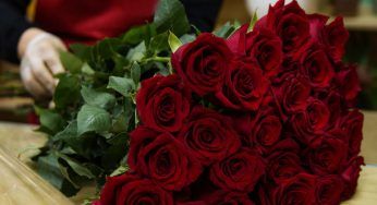 San Valentino senza fiori? I prezzi salgono alle stelle. I numeri sono allarmanti