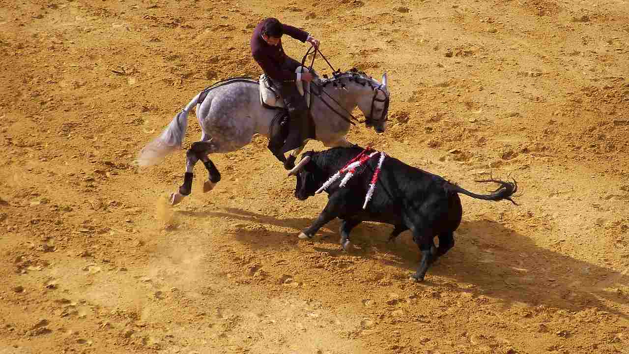 Corrida abolita