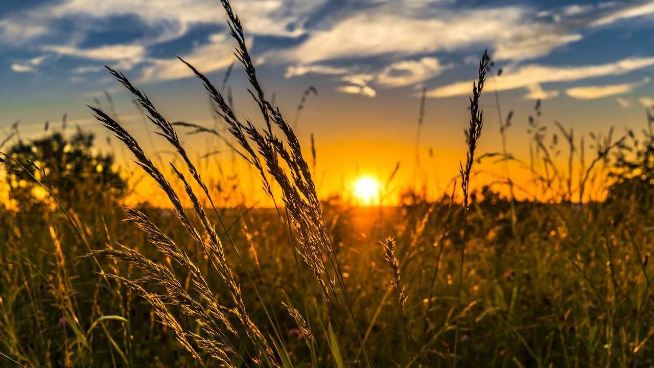 Il pericolo della microplastica in agricoltura, materie tossiche che arrivano sulle nostre tavole