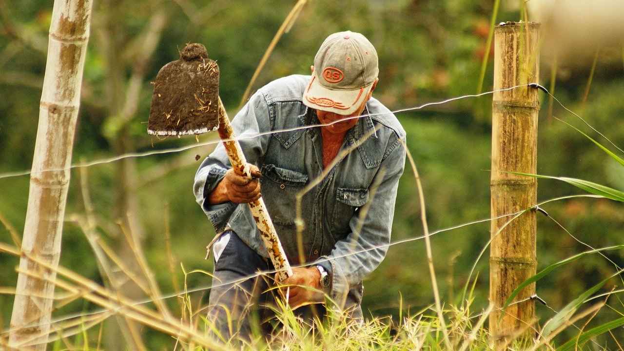 Contro i caro bollette, le idee messe in campo dagli agricoltori