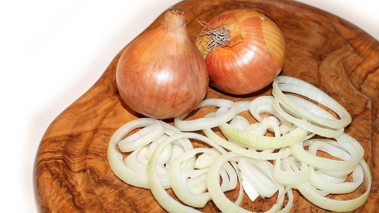 la cipolla, grazie alle sue proprietà, si può utilizzare in giardino