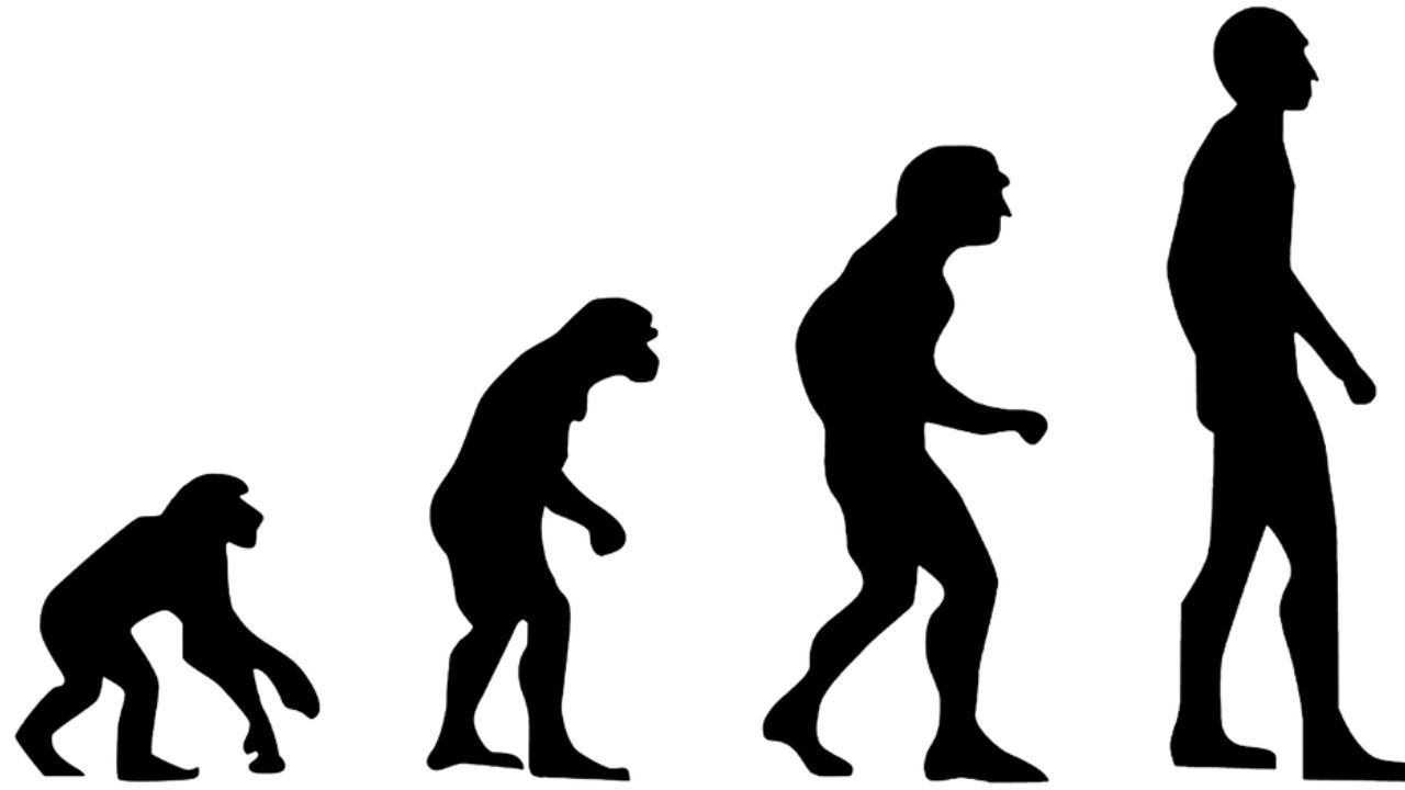 Evoluzione Homo sapiens (Pixabay)