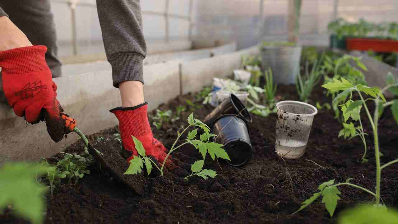 Metodi alternativi di giardinaggio