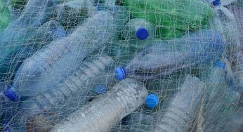 Bottiglie di plastica, riciclale con gusto. Per te tante idee creative