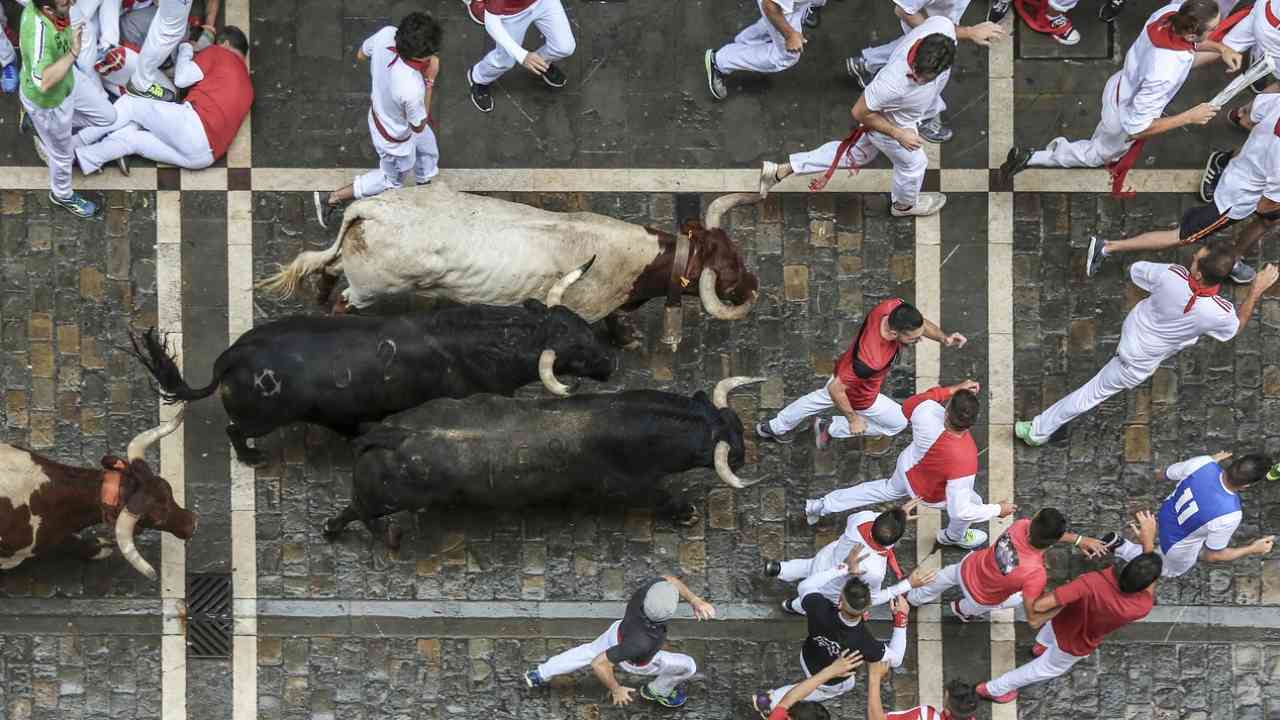 Corsa dei tori