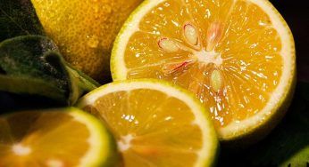 Limone, non sempre è un alleato. E’ molto dannoso per alcuni oggetti, evita di fare danni