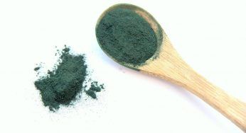 Alga superfood: i rischi sono molteplici. Consumala con parsimonia, ti diciamo di cosa si tratta