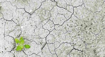 Inquinamento del suolo: che cos’é, cause, rischi e rimedi