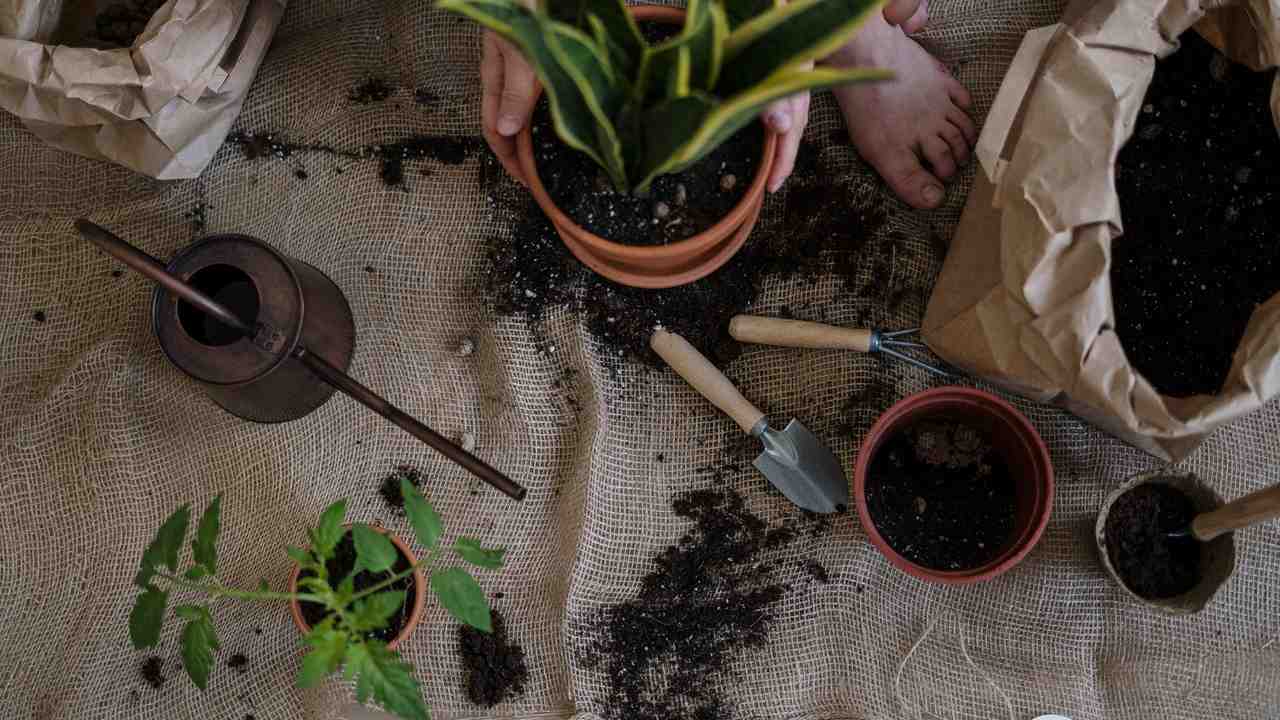 Giardinaggio attrezzi