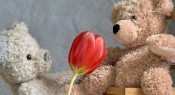I fiori di San Valentino: per te quelli più gettonati. Vai a colpo sicuro, con noi non potrai sbagliare