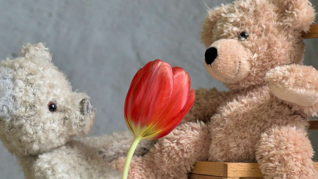 Peluche e fiore