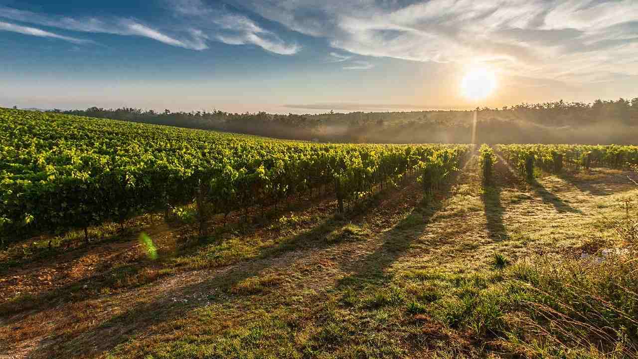 valore terreni agricoli