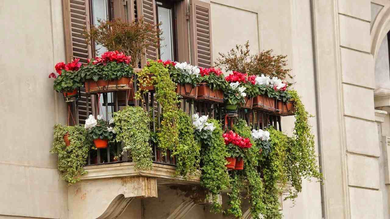 sguardi indiscreti giardino balcone