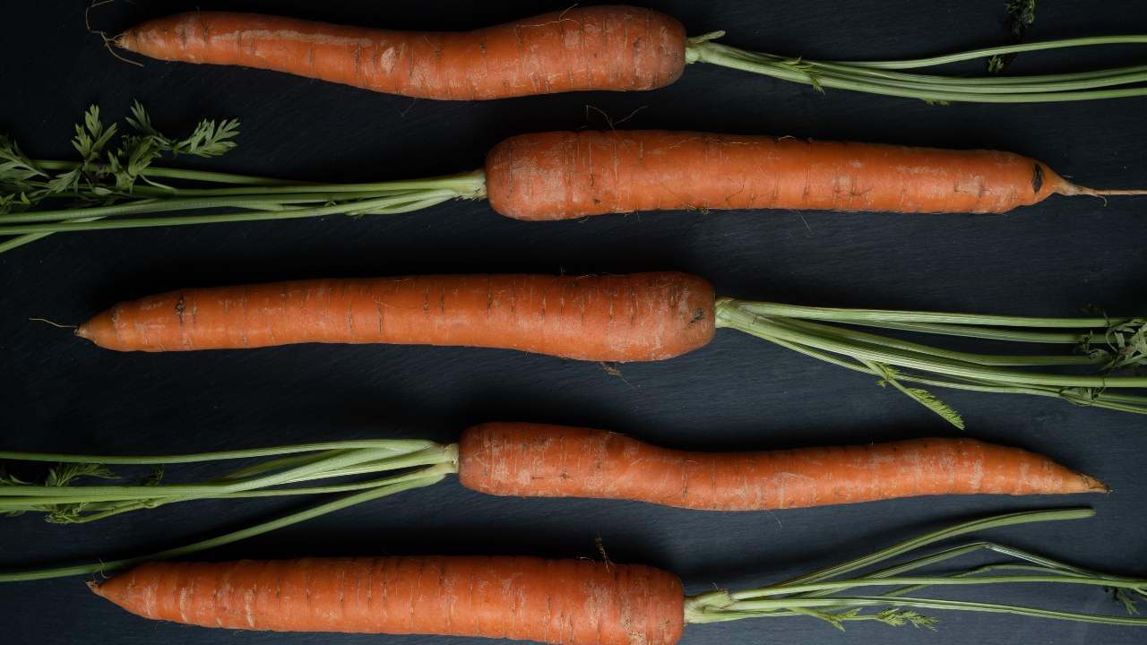 oleolito carota proprietà bellezza