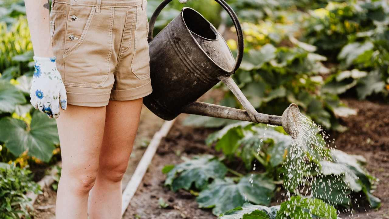 Orto pesticidi danni salute