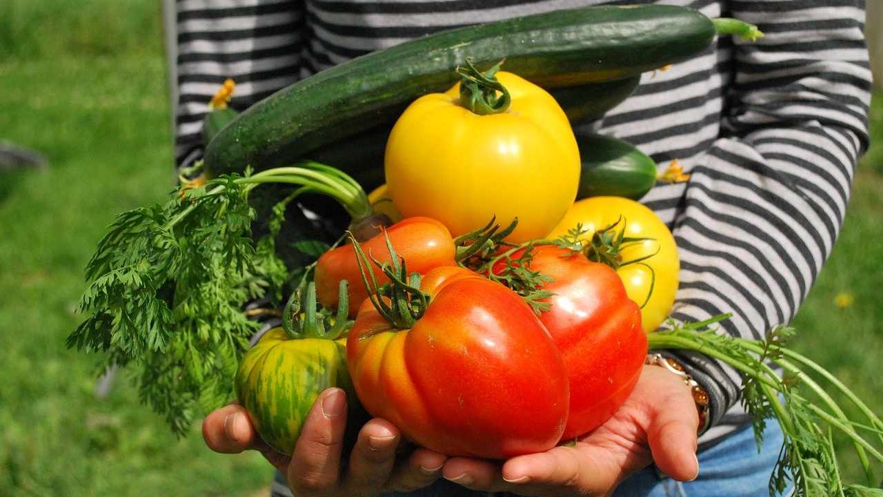 lavori orto marzo raccolto