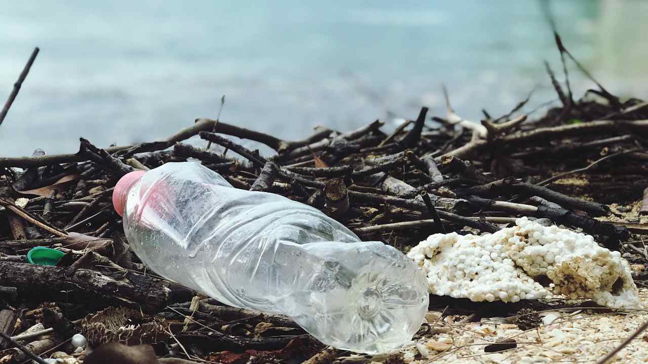 Piattaforma mangiaplastica corsi acqua