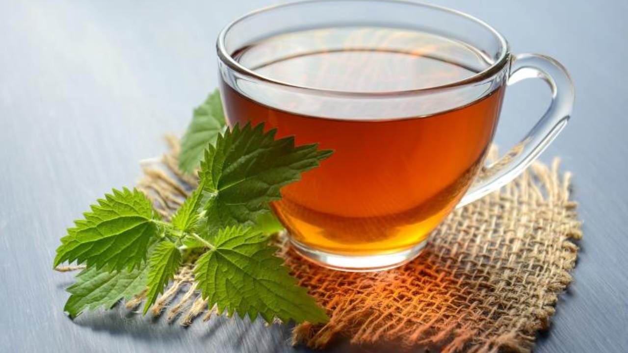 Tisana menta controindicazioni