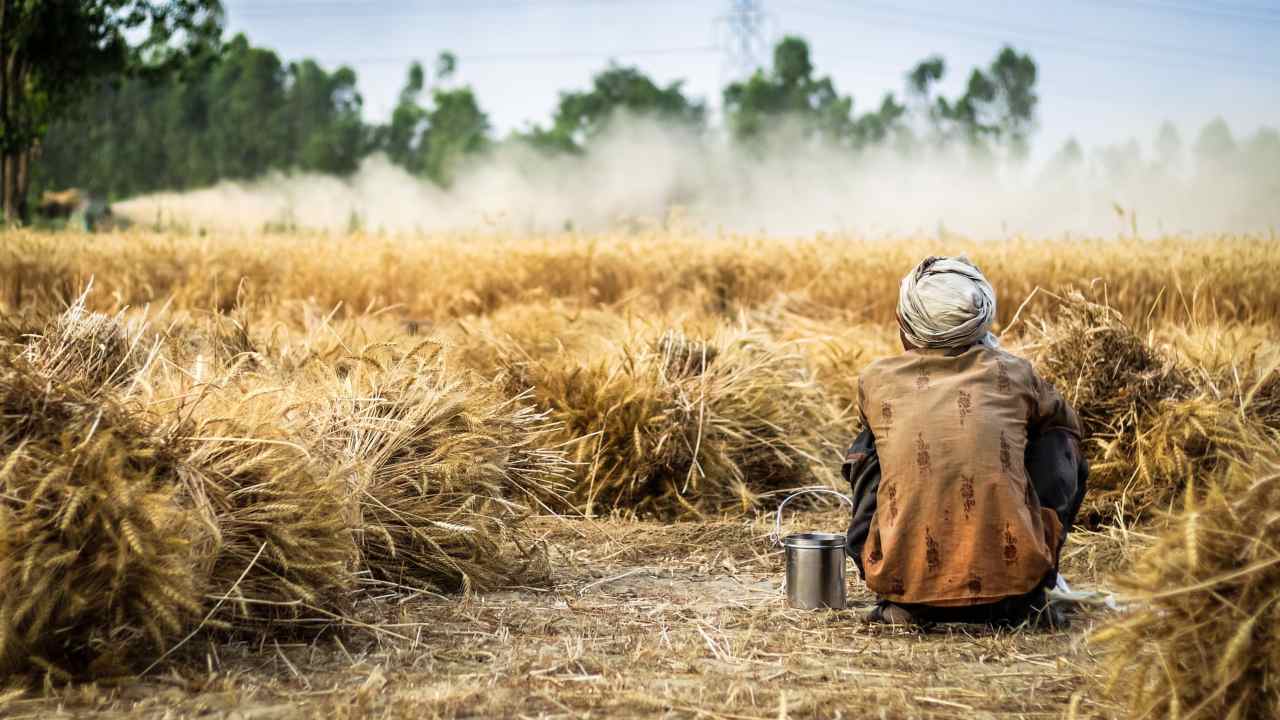 Crisi alimentare globale agricoltore