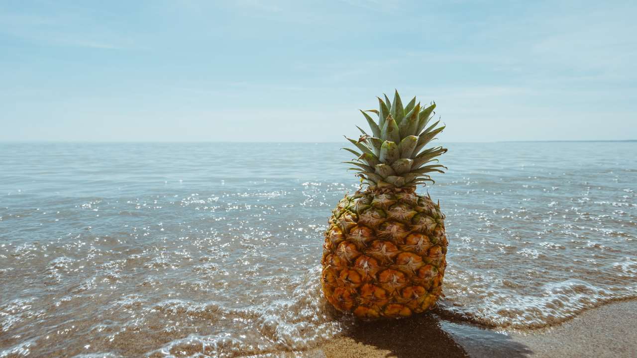 frutta tropicale coltivare ananas