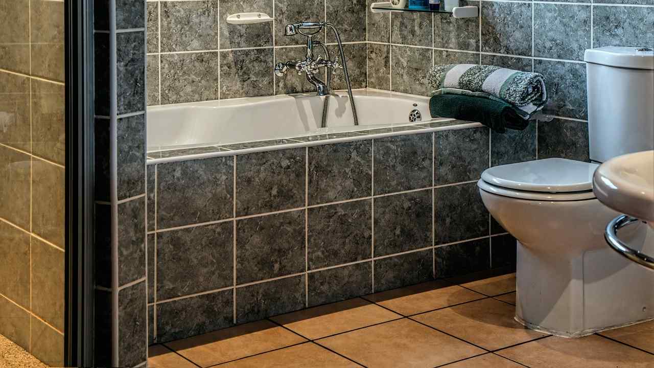 cerniere wc bagno ruggine