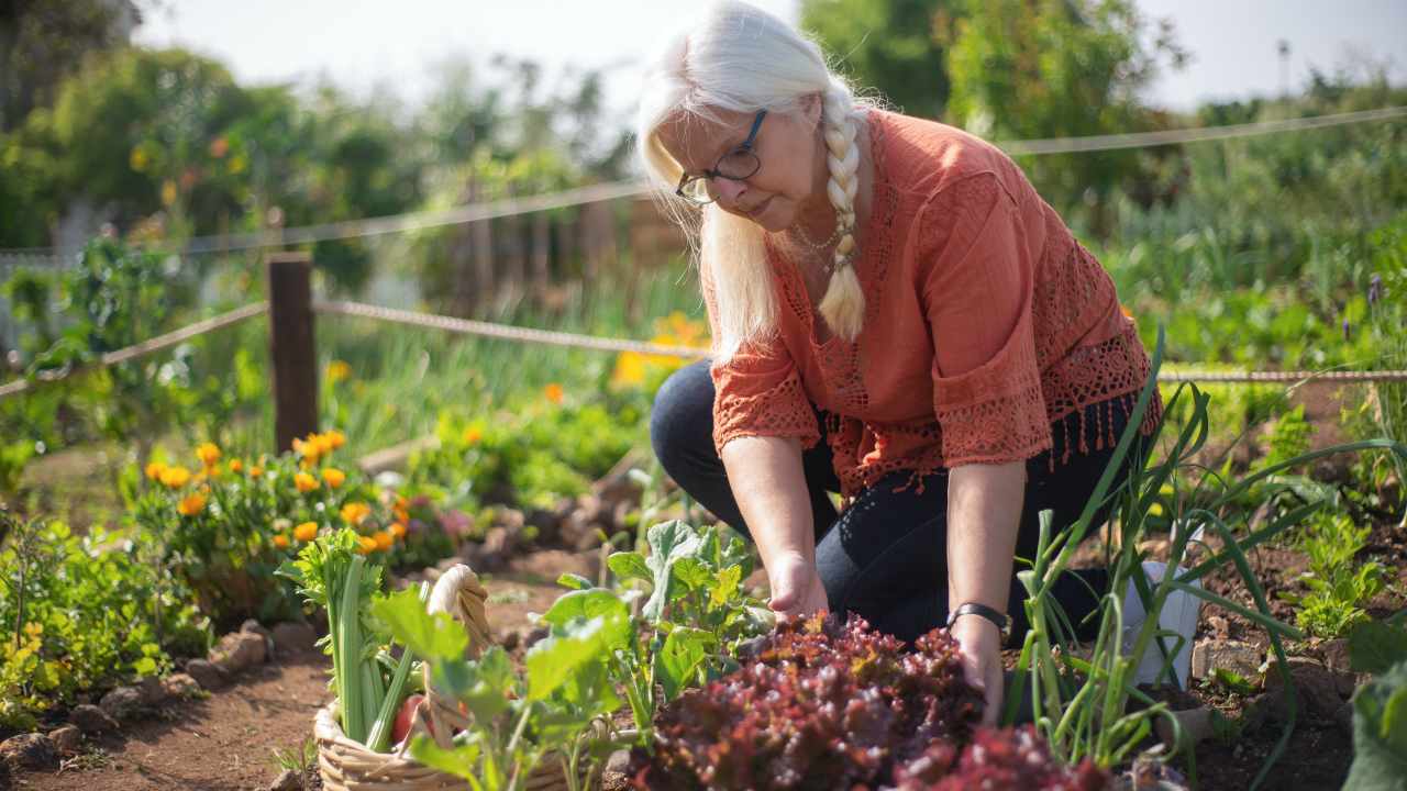 orto donna terra fertilizzante