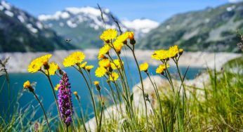 Paesaggi e siti nel mondo che stanno per scomparire: la lista fa venire i brividi