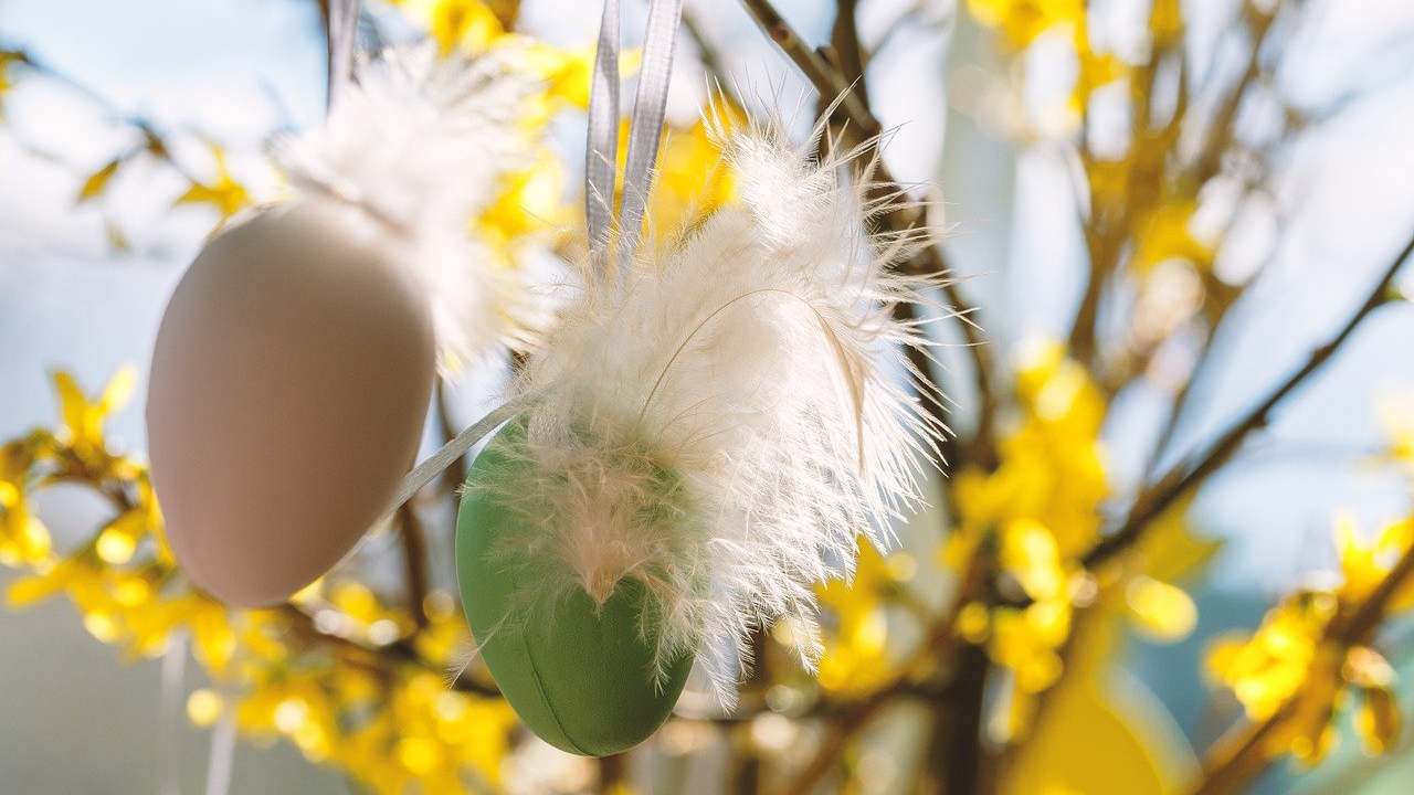 Albero Pasqua storie e idee