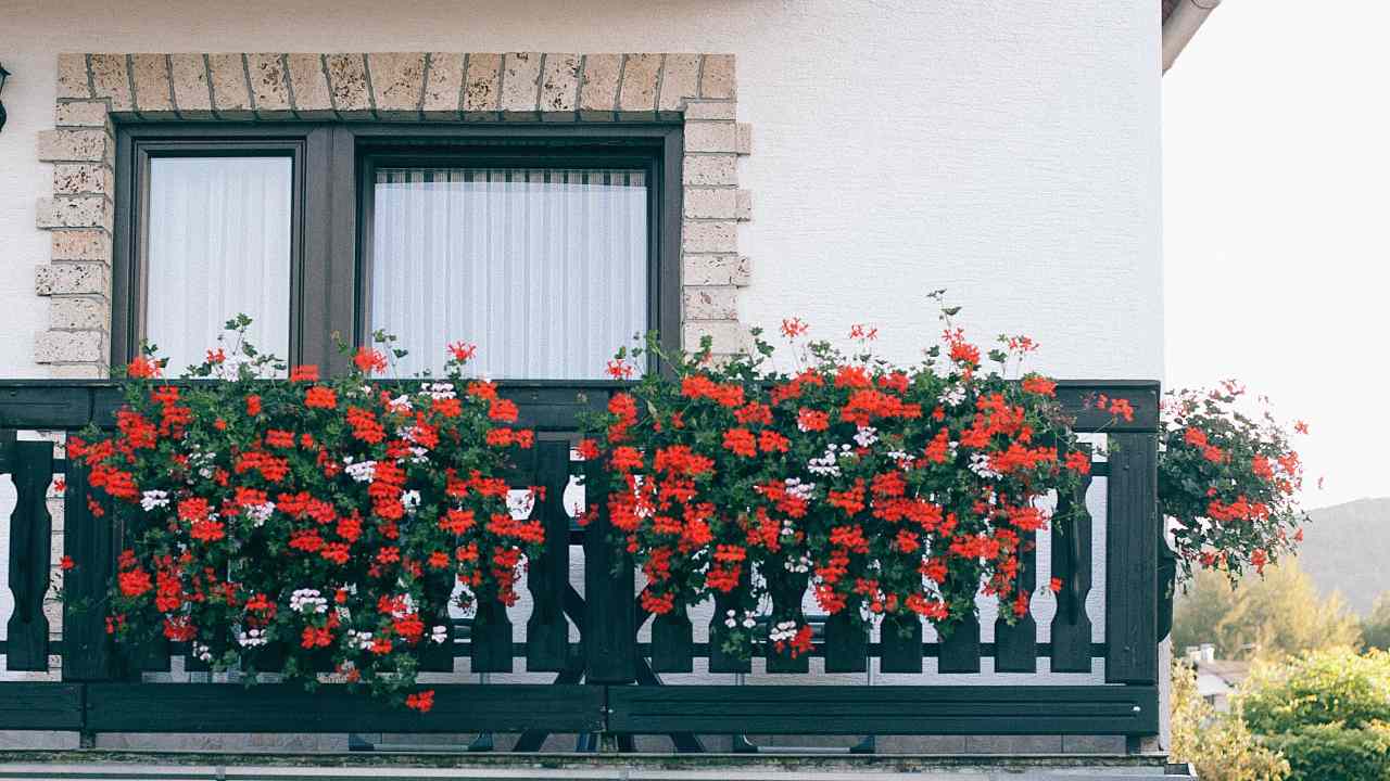 Balcone pieno fiori trucchetto