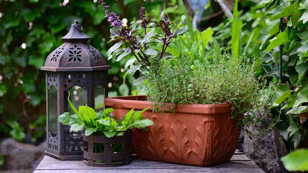 orto balcone trucchetti