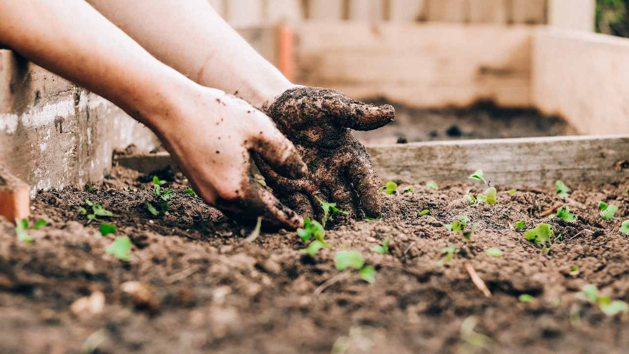 italiani trend crescita giardinaggio