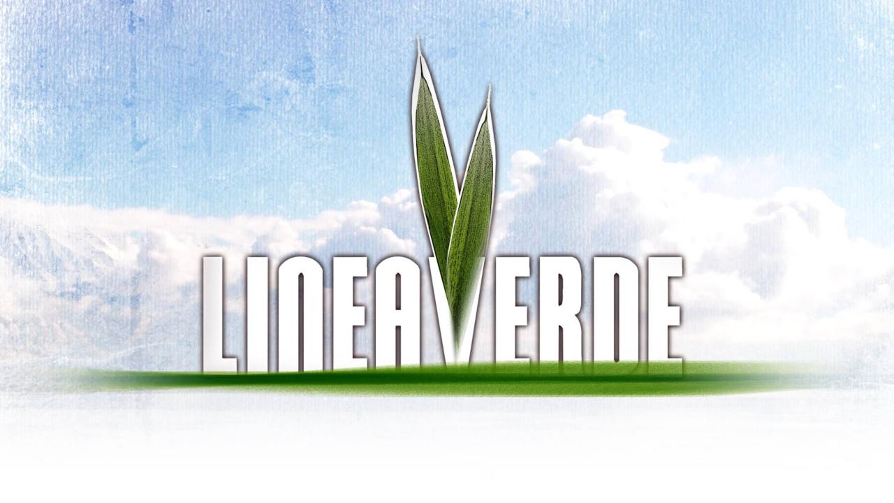 Linea verde addio presentatrice