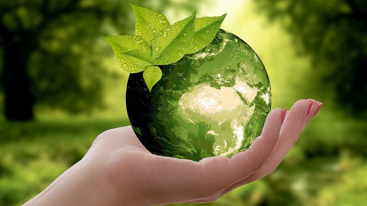 ora della Terra WWF ambiente