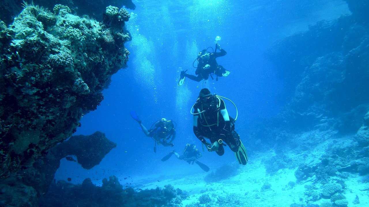 prateria posidonia oceanica mondello