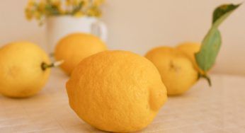 Altro che caffè, i limoni scoppieranno di salute solo con lui. Il rimedio economico, pratico ed immediato