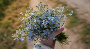 Fiori recisi, questi sono i trucchi economici per farli durare più a lungo. Risultati garantiti