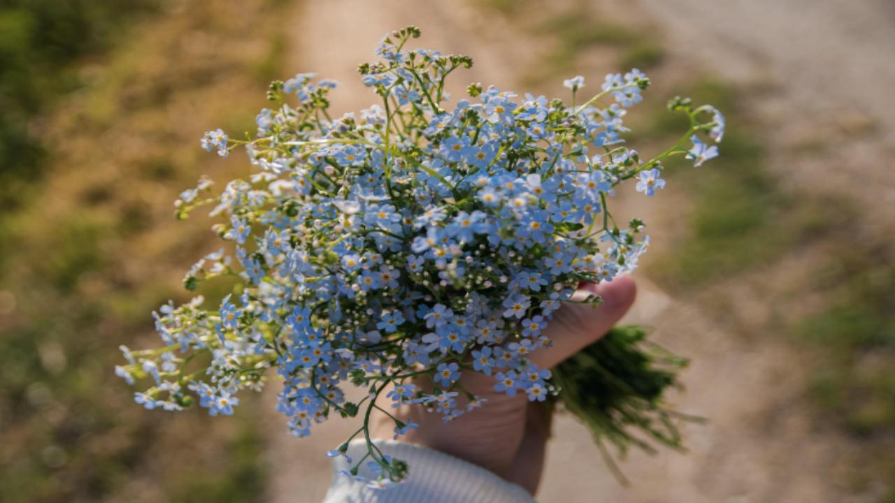 Fiori recisi bouquet